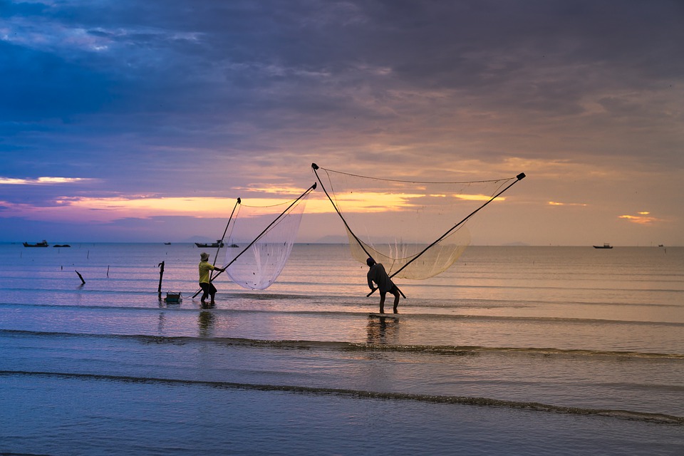 Fish Farming